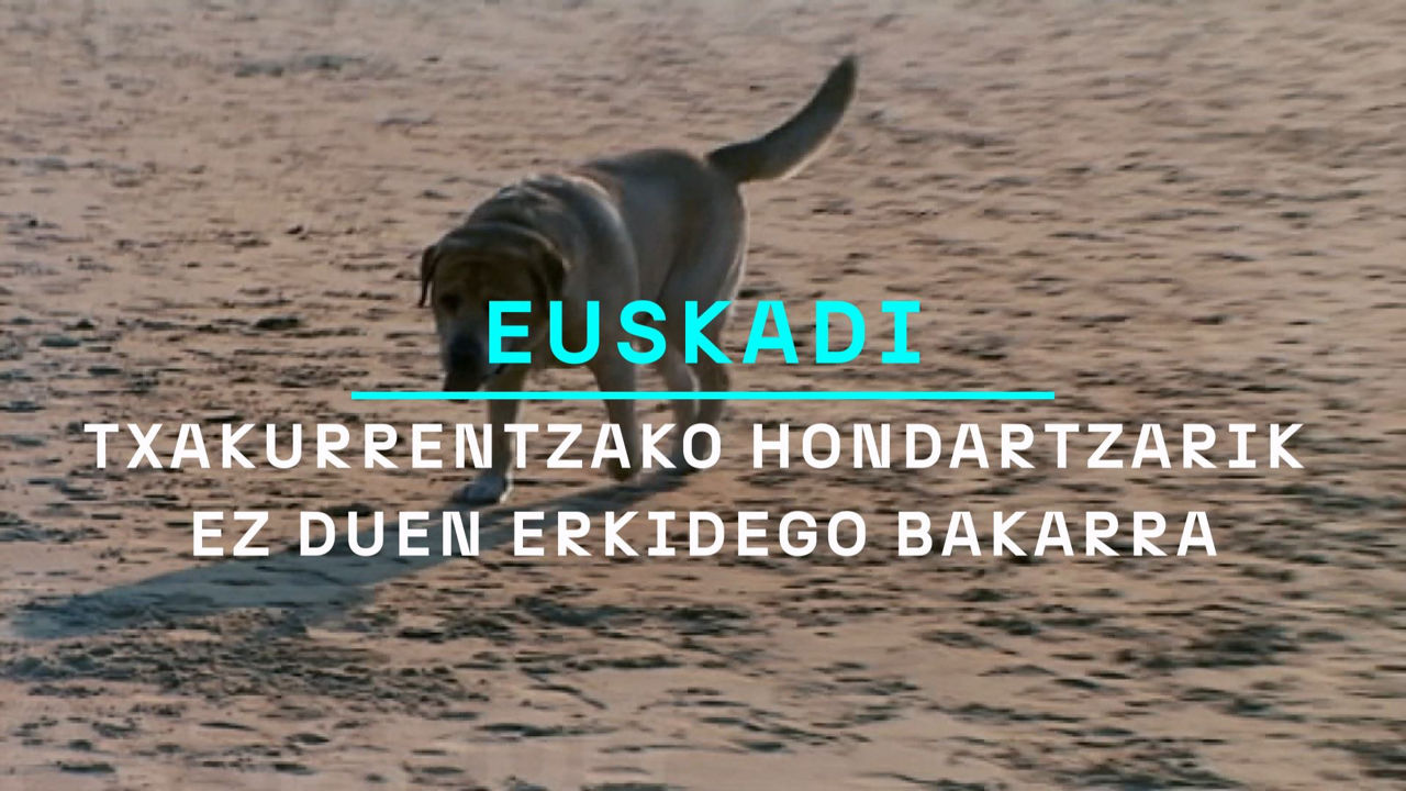 txakurraeusk_3