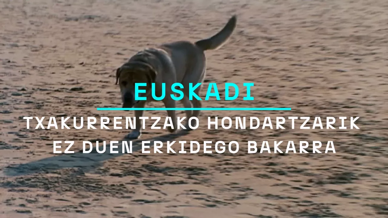 txakurraeusk_3