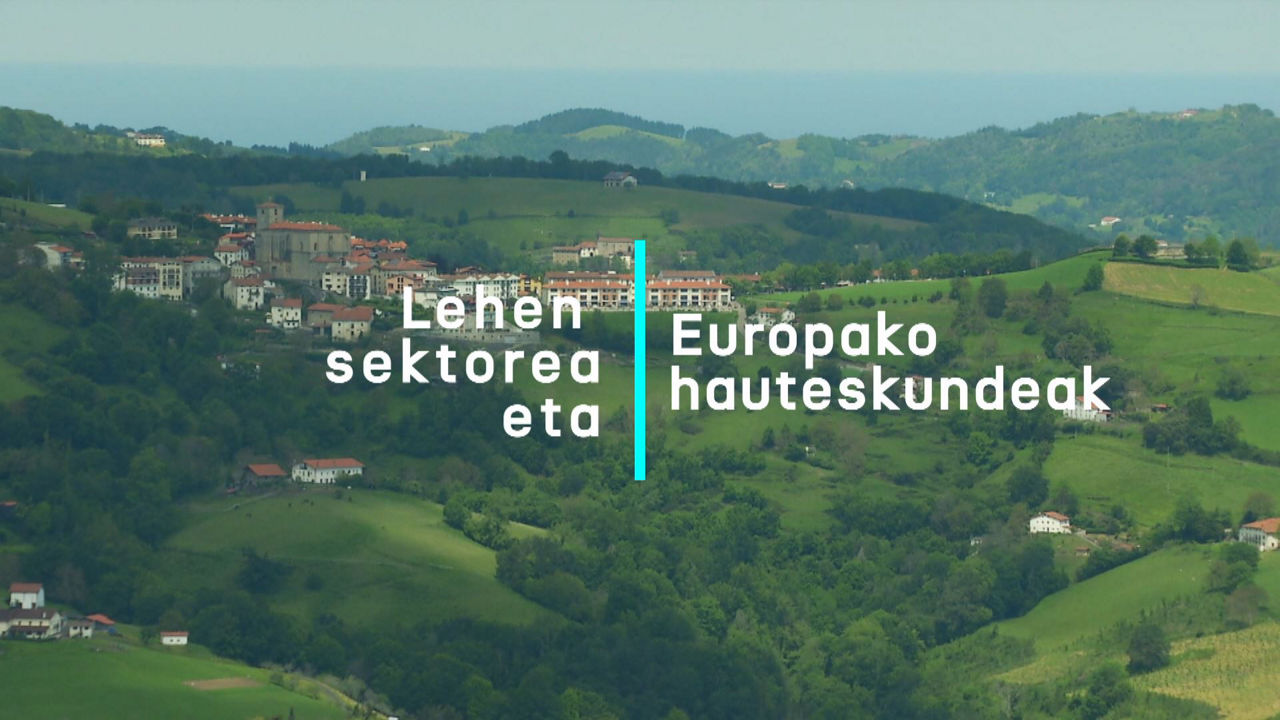 20240531175924_lehen-sektorea-eta-europako-hauteskundeak_