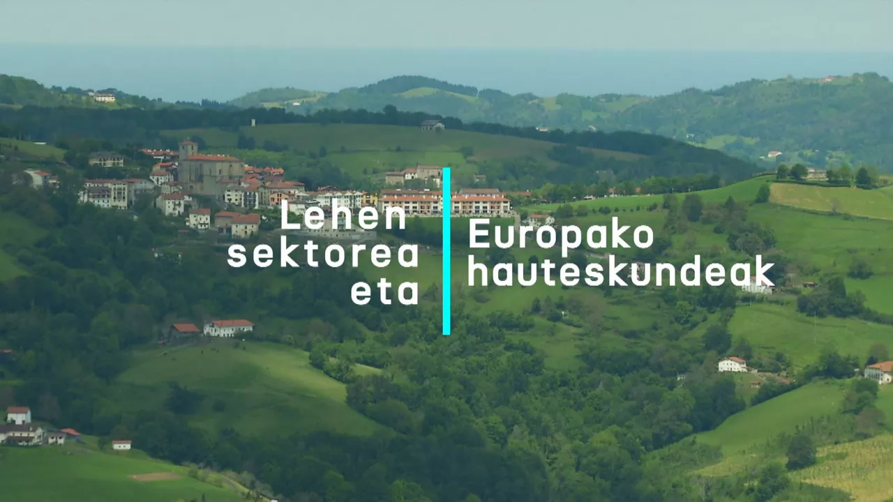 20240531175924_lehen-sektorea-eta-europako-hauteskundeak_