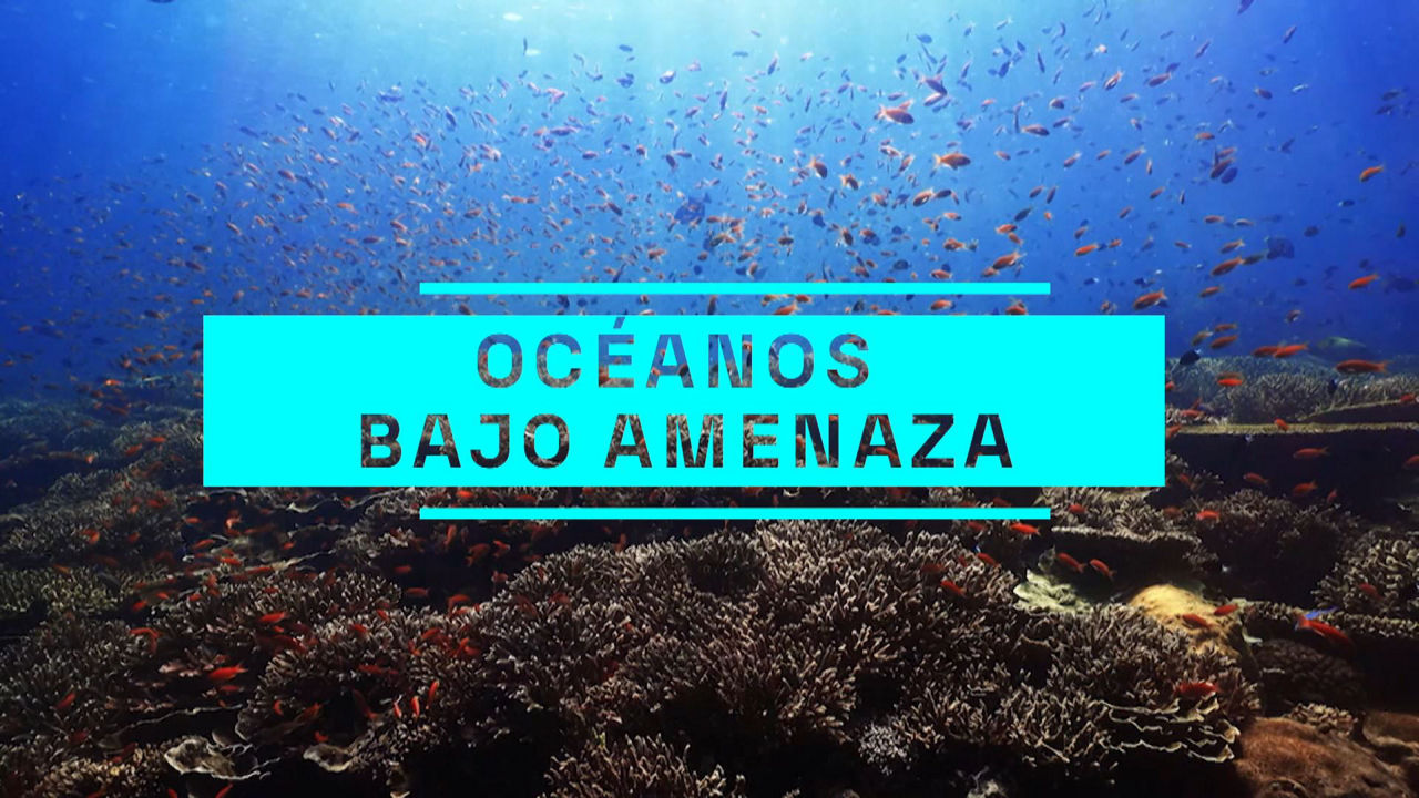 20240608114152_ozeanoak_