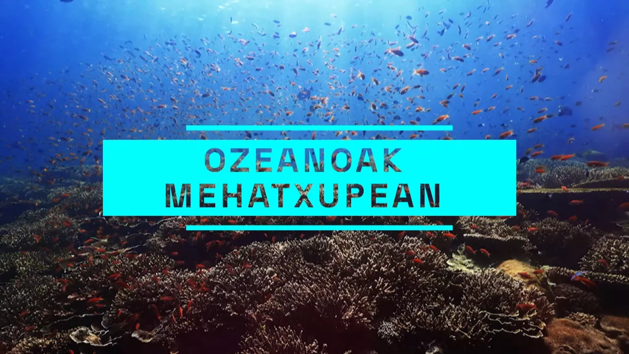 20240608114600_ozeanoak_