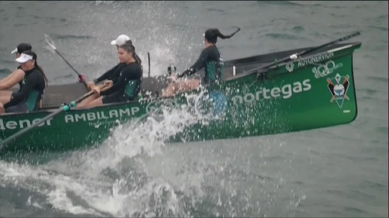 20240610140828_arrauna_