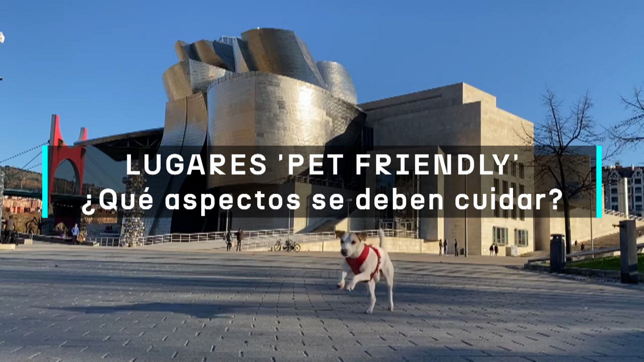 20240611173403_como-ser-pet-friendly_