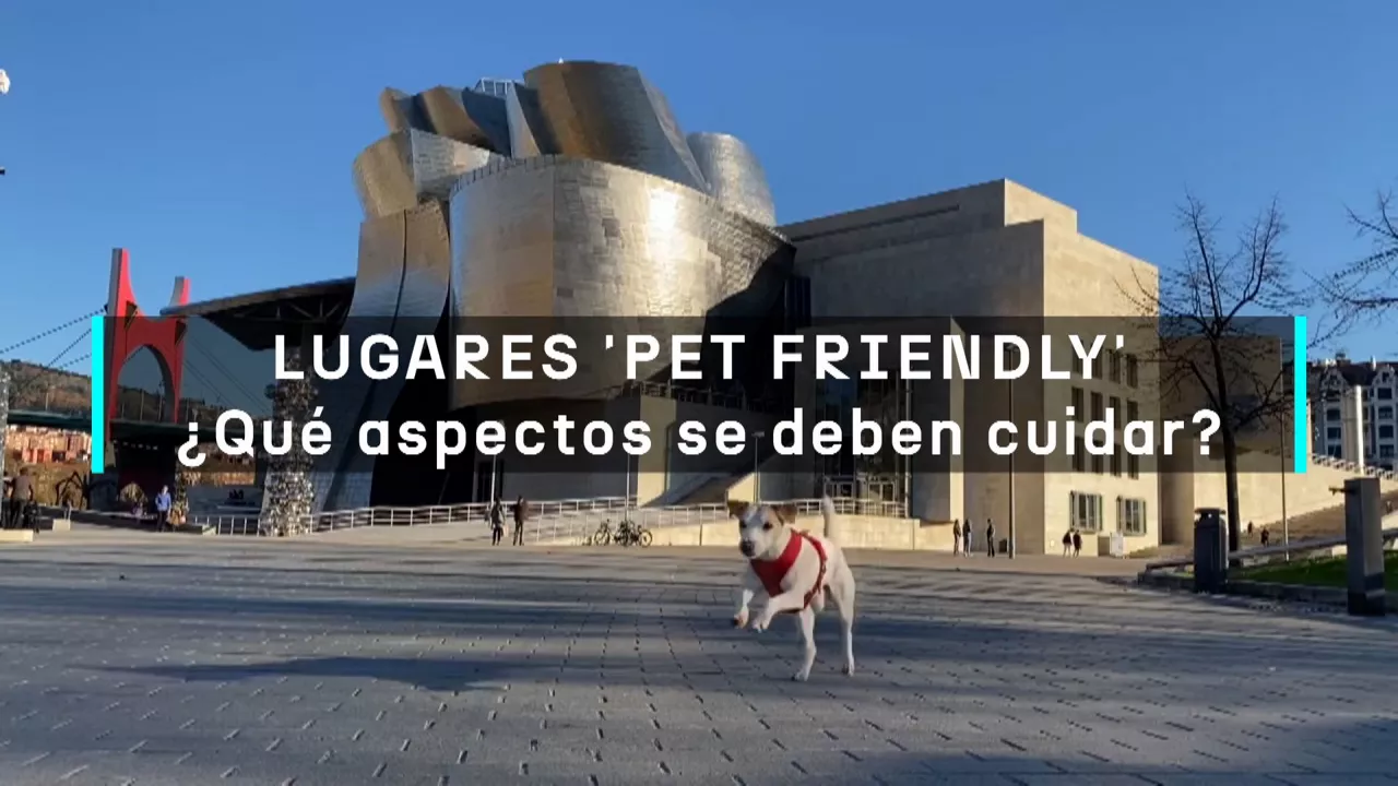 20240611173403_como-ser-pet-friendly_