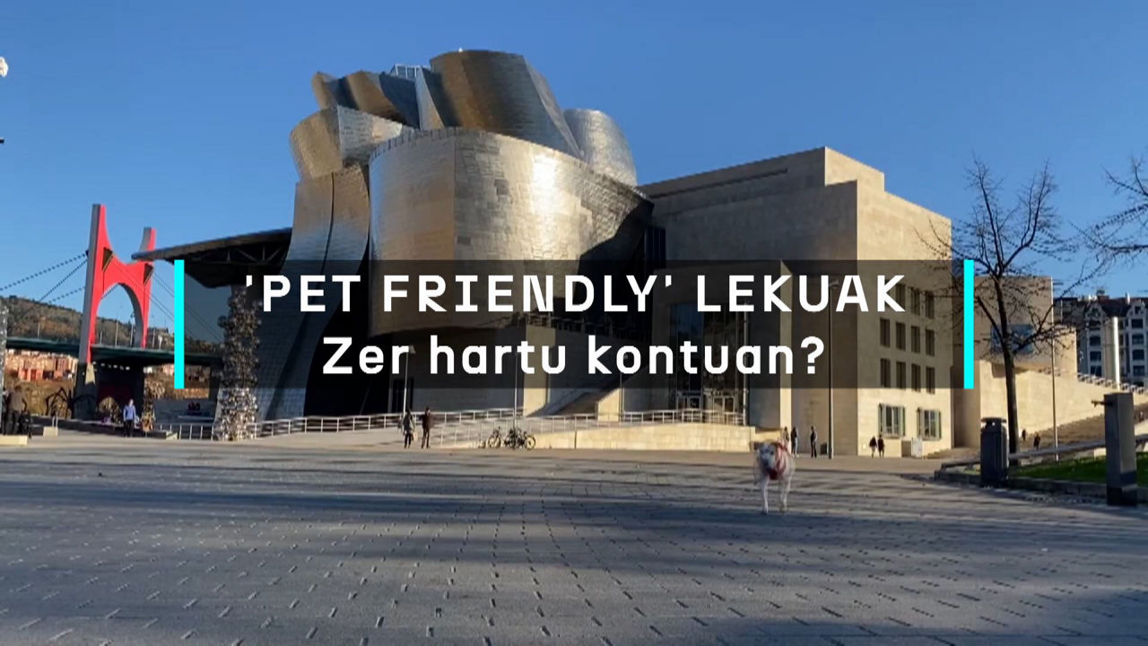 20240611175923_pet-friendly-lekuak-zer-hartu-kontuan_