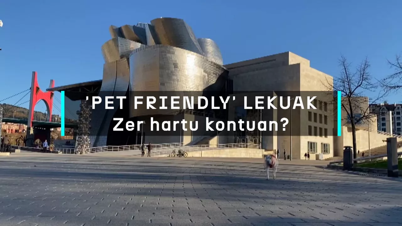 20240611175923_pet-friendly-lekuak-zer-hartu-kontuan_