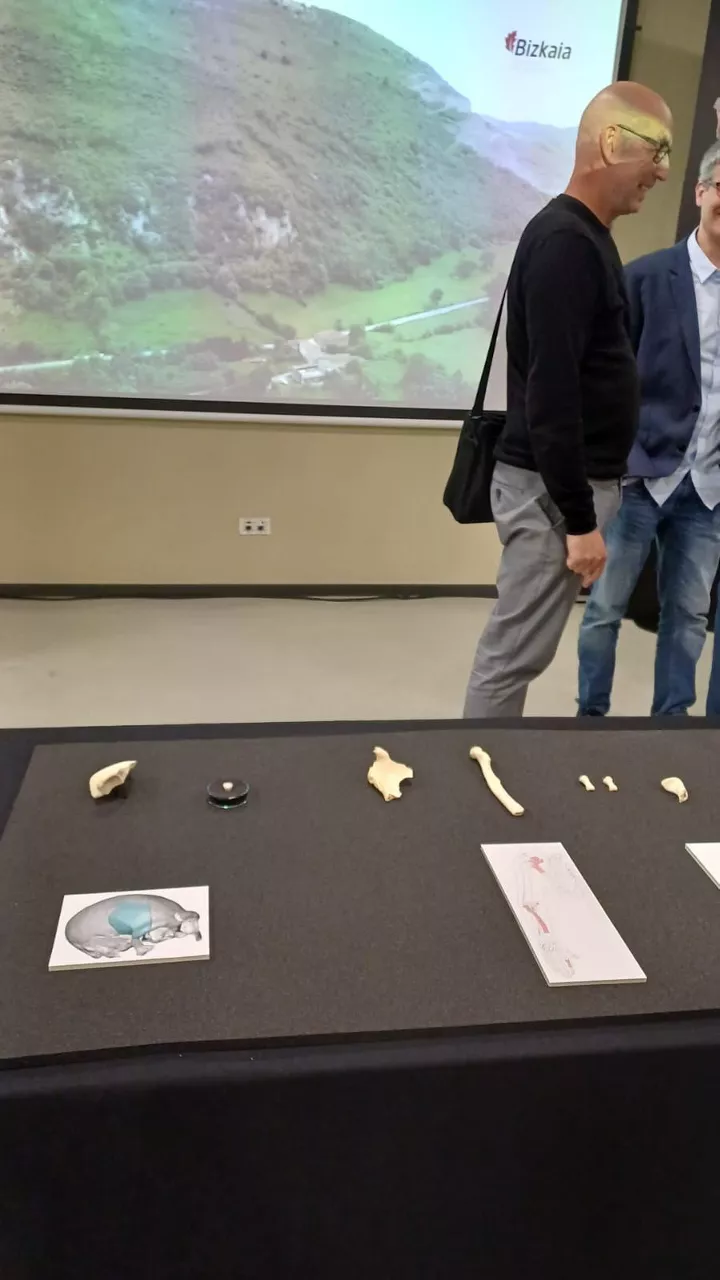 Hallazgo de fósiles de hace más de 150.000 años en Bizkaia, Karrantza.