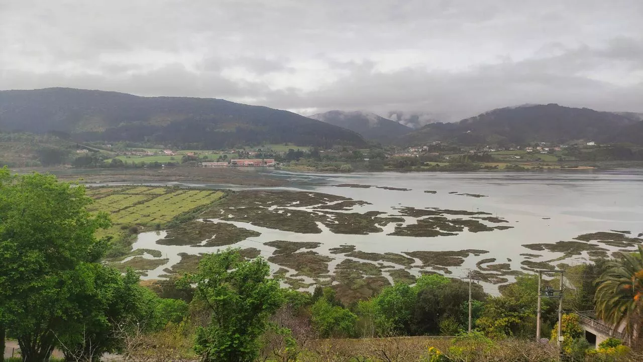 Urdaibai