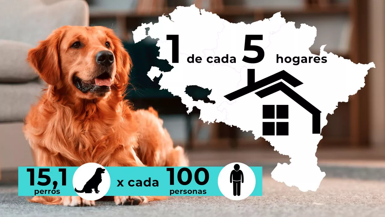 dls_titular1_es mascotas saretzen