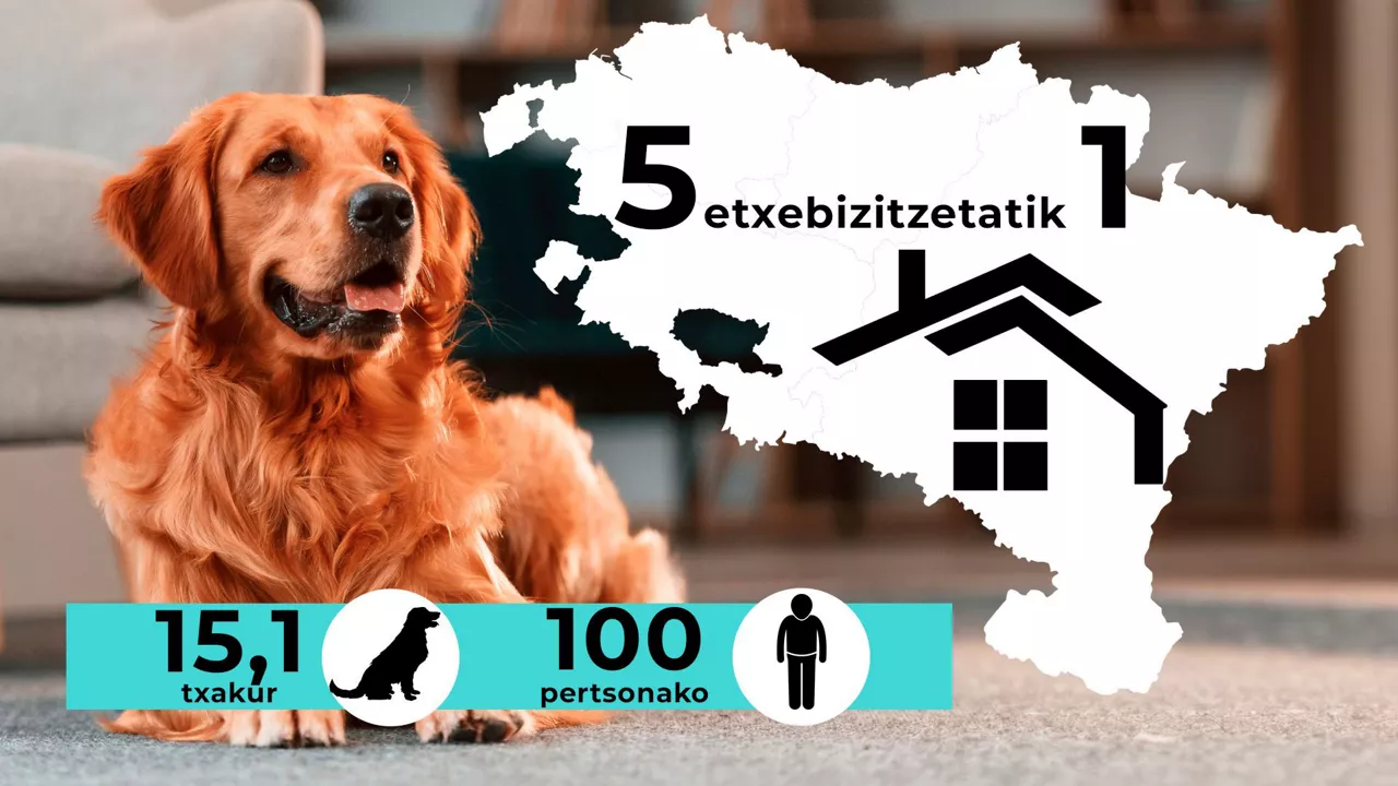 dls_titular1_eu mascotas saretzen