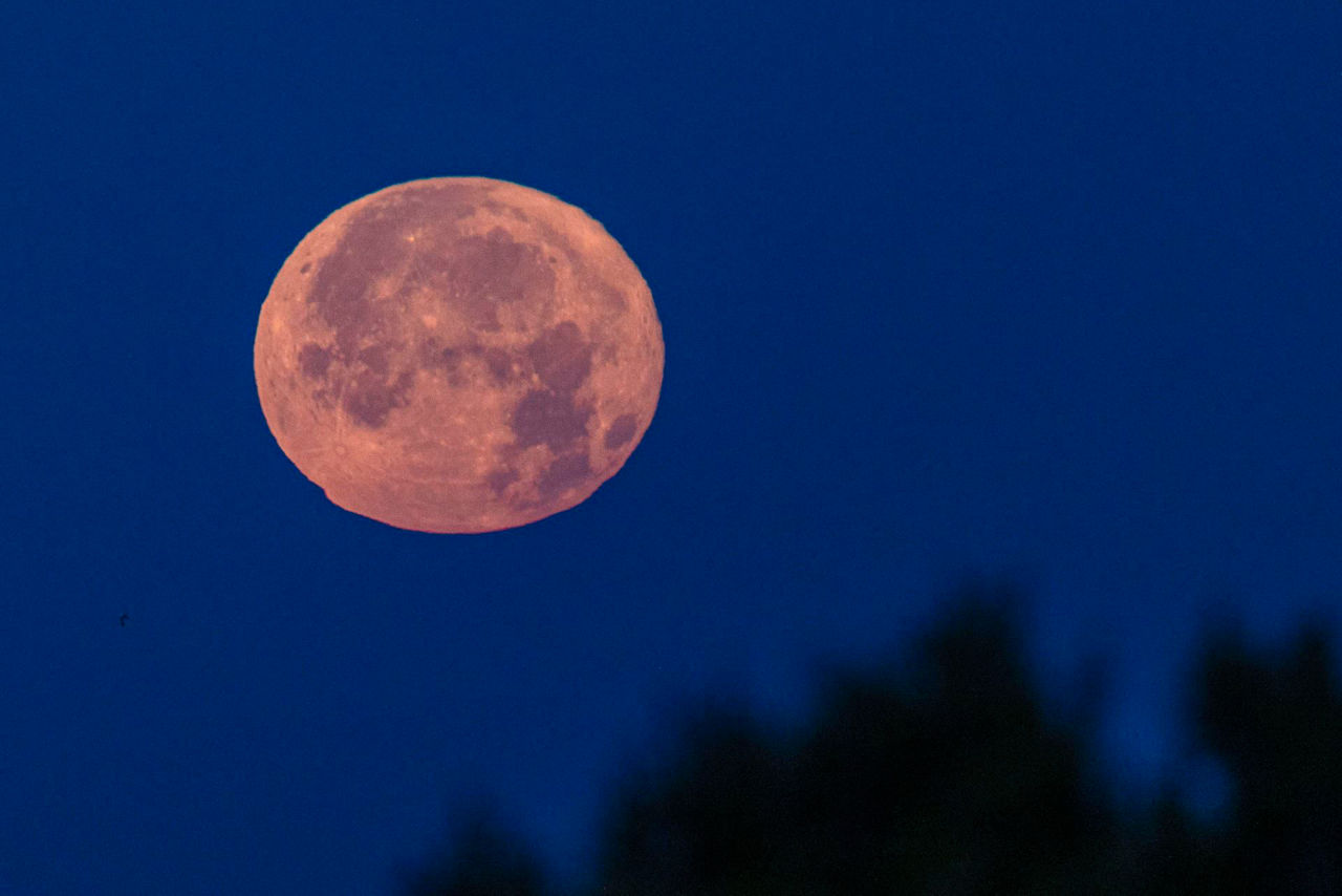 luna de fresa mallorca efe