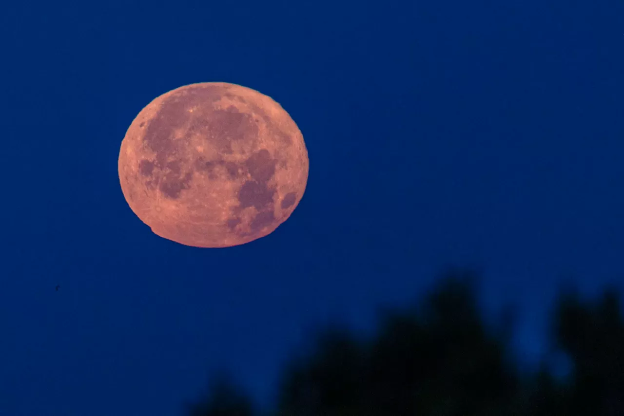 luna de fresa mallorca efe