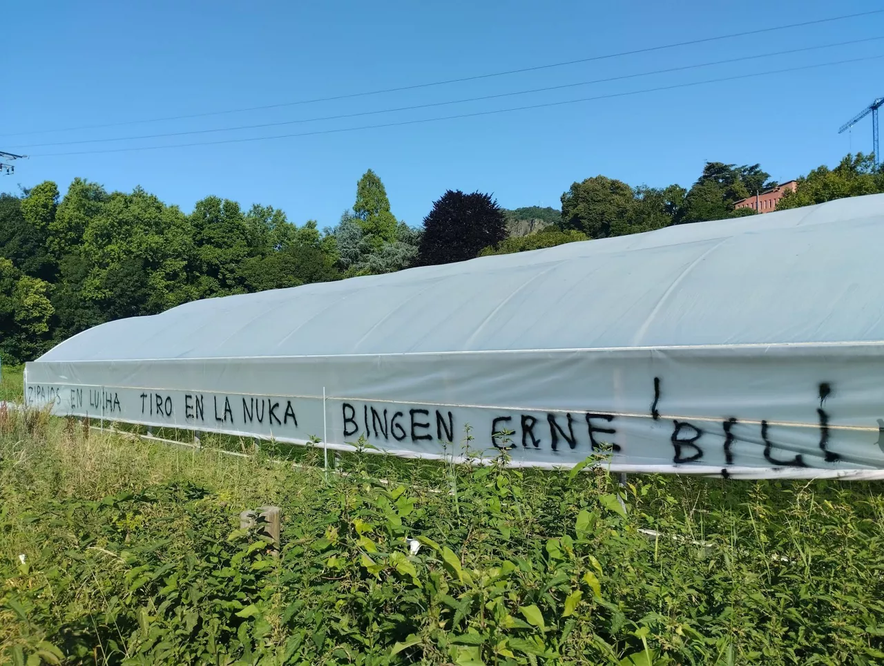 Pintadas  Bingen Zupiria. Egilea: Imanol Lasa Zeberio