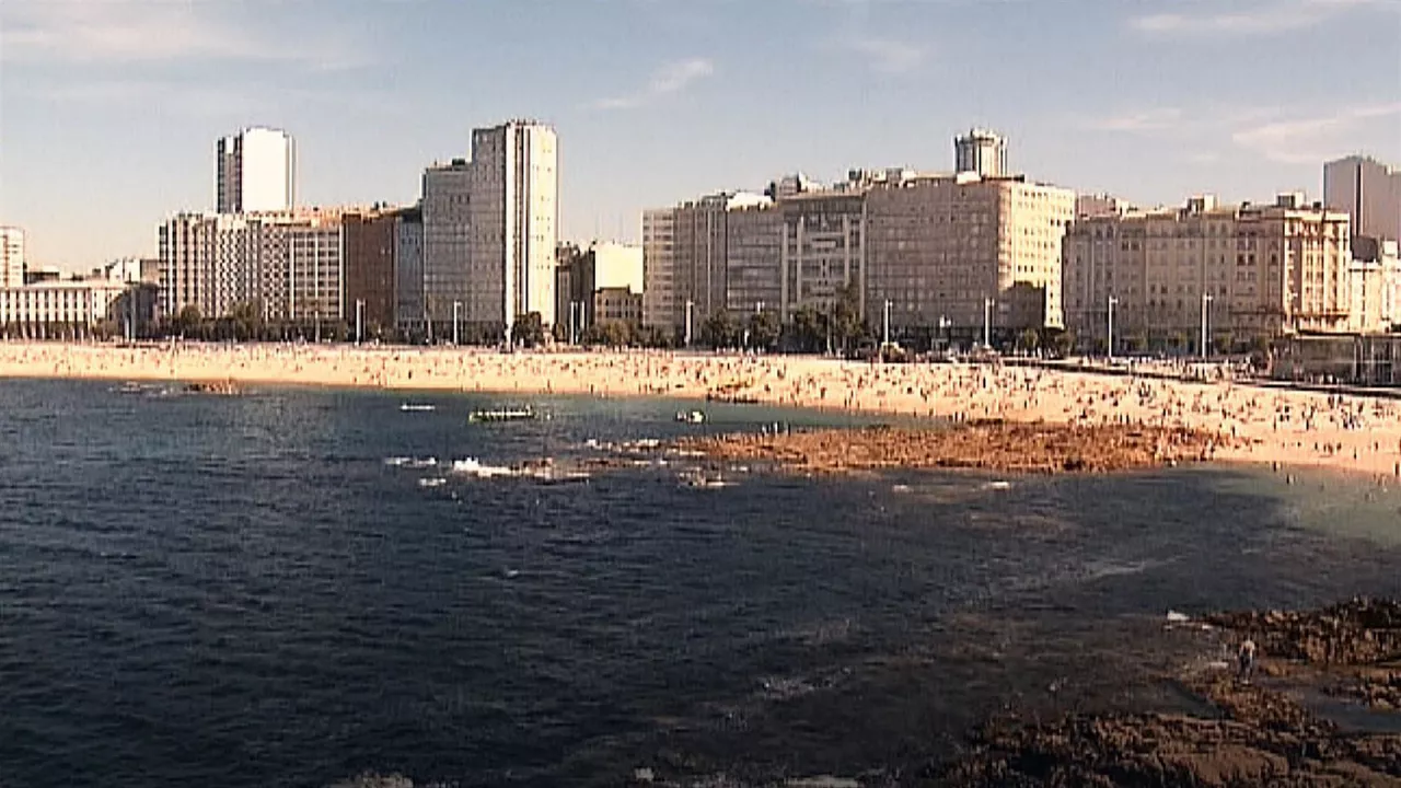 Arrauna Coruña Galizia