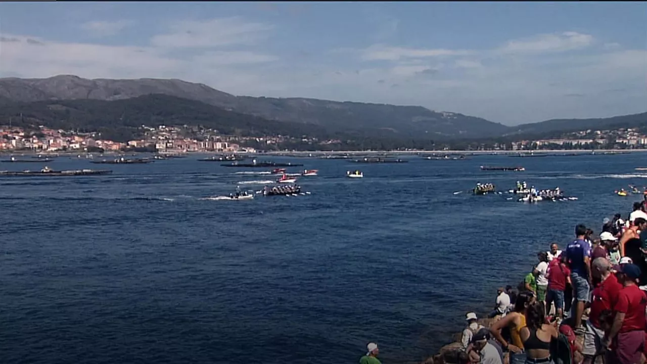 Arrauna Arousa itsasadarra Galizia