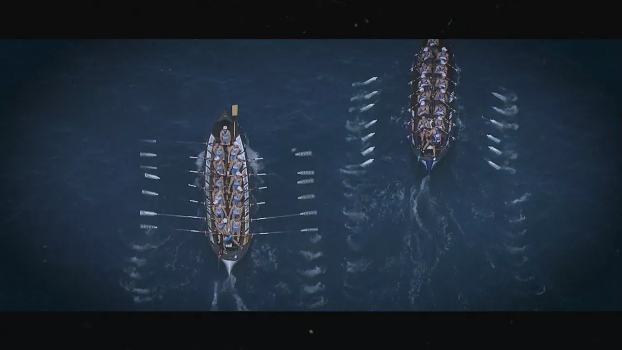 20240629104352_arrauna_