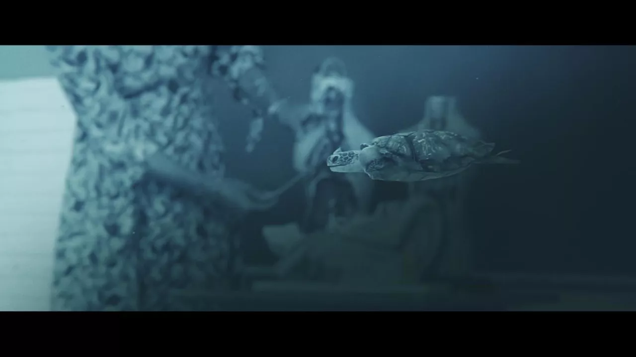 "Europa" Ekain Irigoien