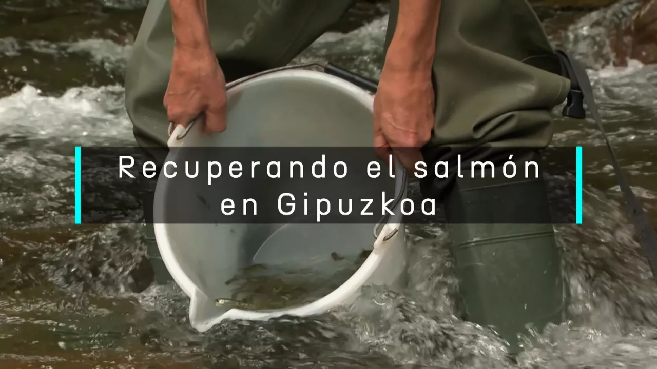 20240704161529_salmon-gipuzkoa_