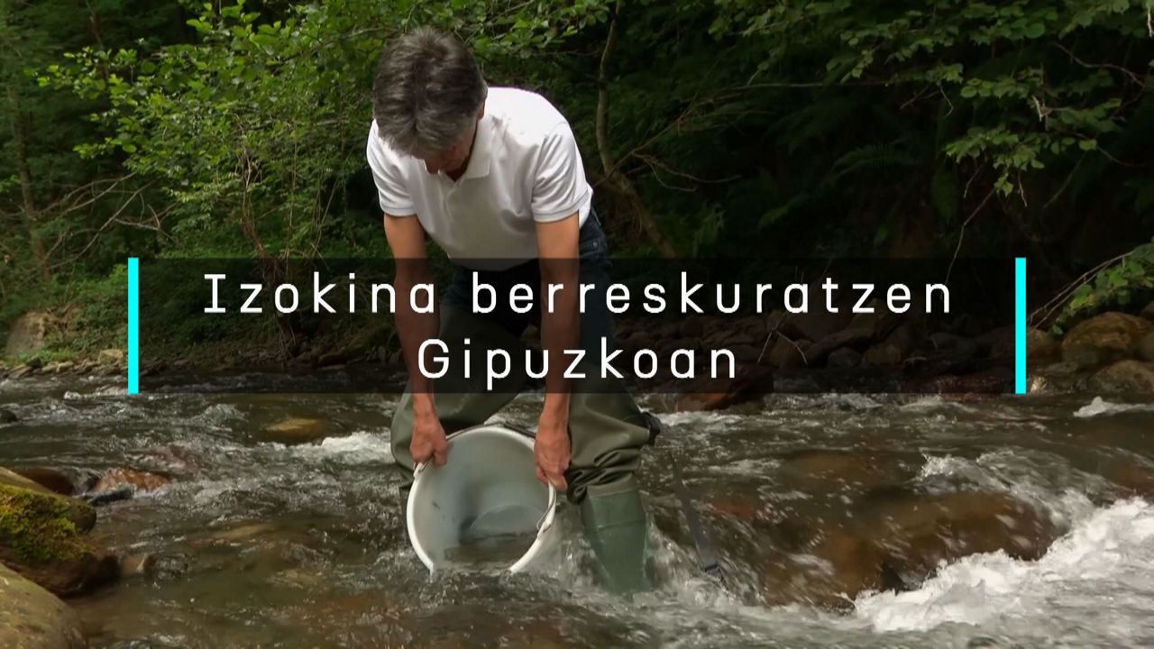20240704162018_izokina-berreskuratzen-gipuzkoan_