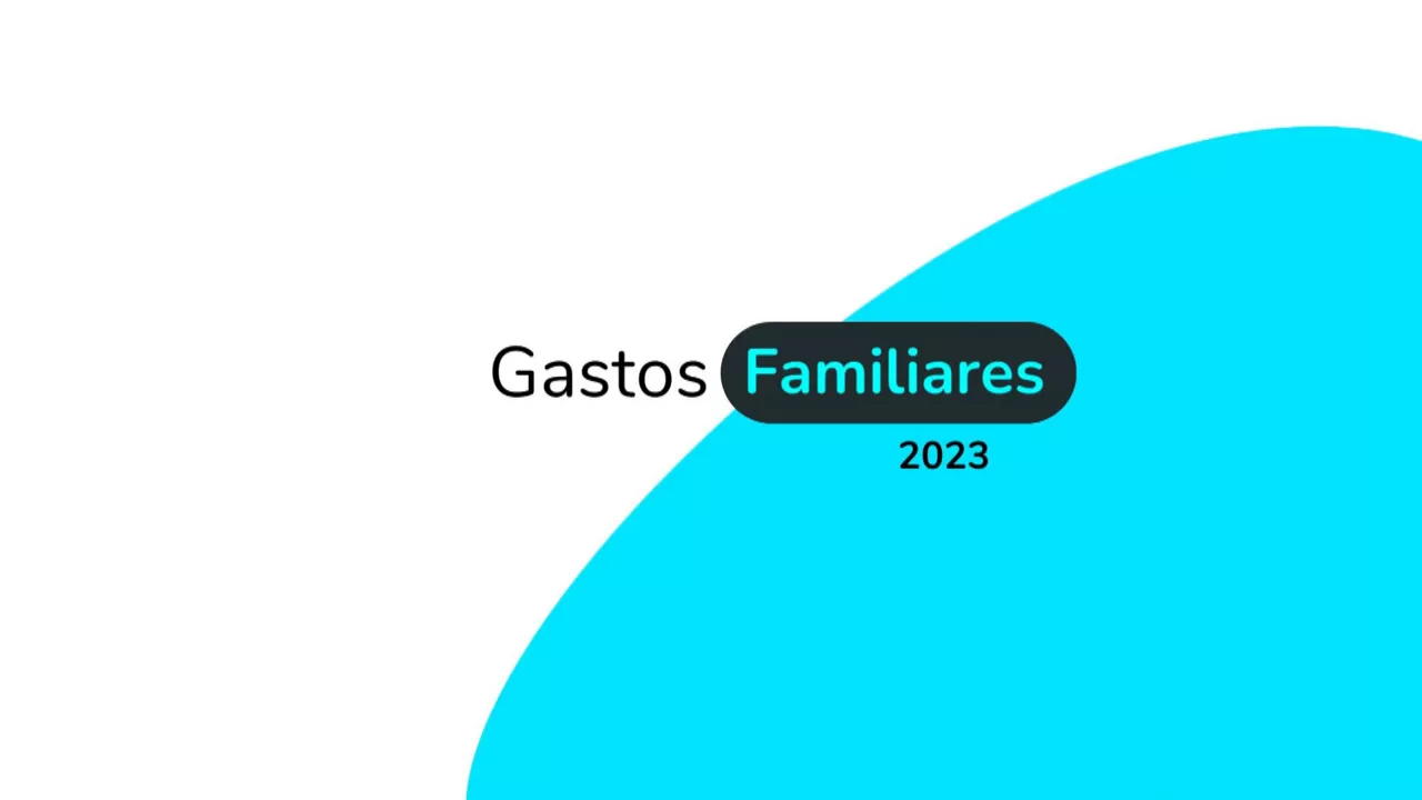 20240705135131_gastos-familiares-2023_