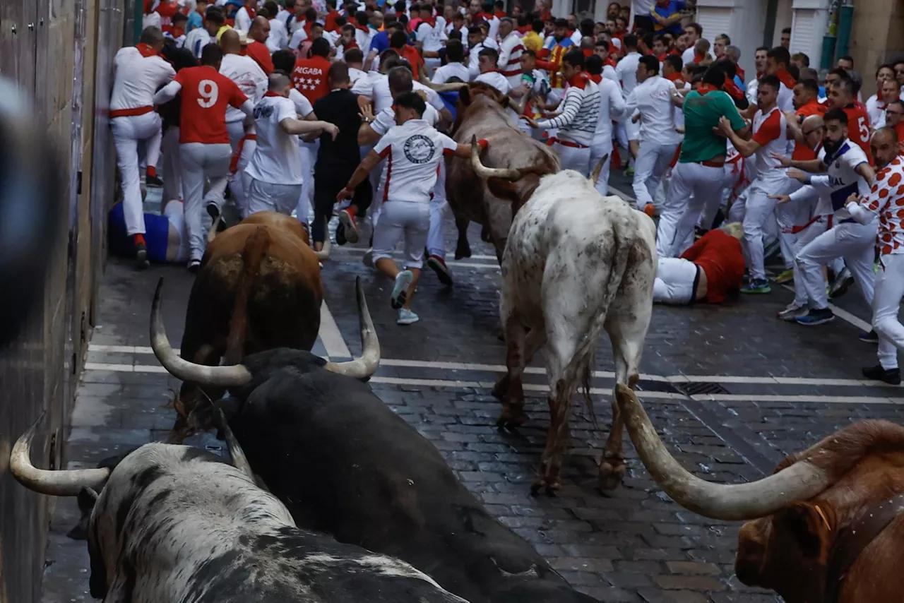 encierro 8 julio 2024 cebada gago enzierroa san fermin sanfermines