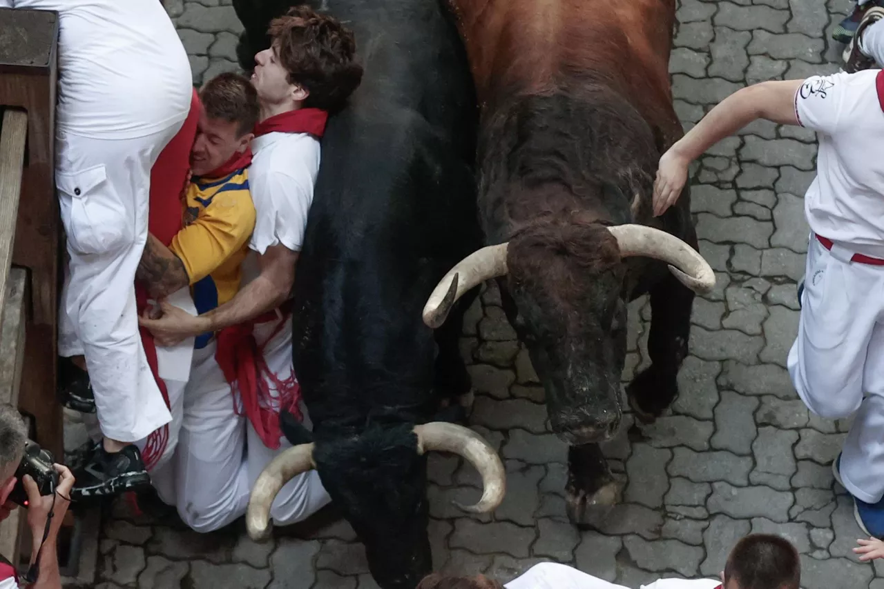 encierro 8 julio 2024 cebada gago enzierroa san fermin sanfermines