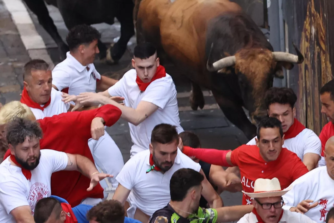encierro 8 julio 2024 cebada gago enzierroa san fermin sanfermines