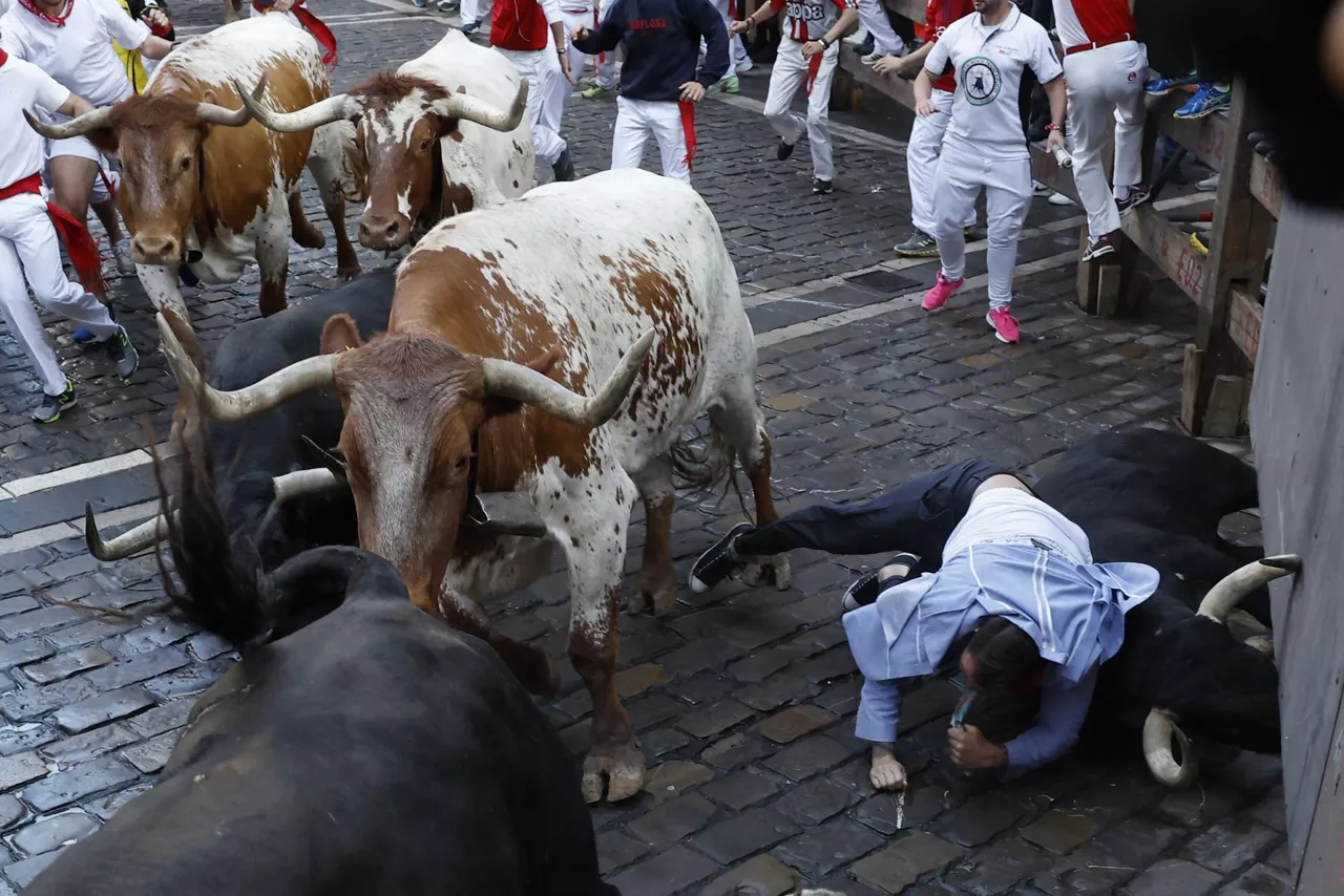 encierro 8 julio 2024 cebada gago enzierroa san fermin sanfermines