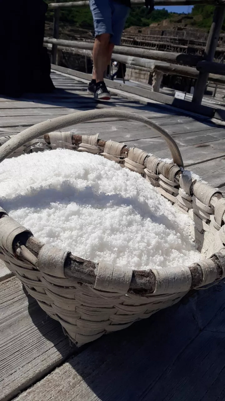 Arranca la cosecha de la sal en Añana