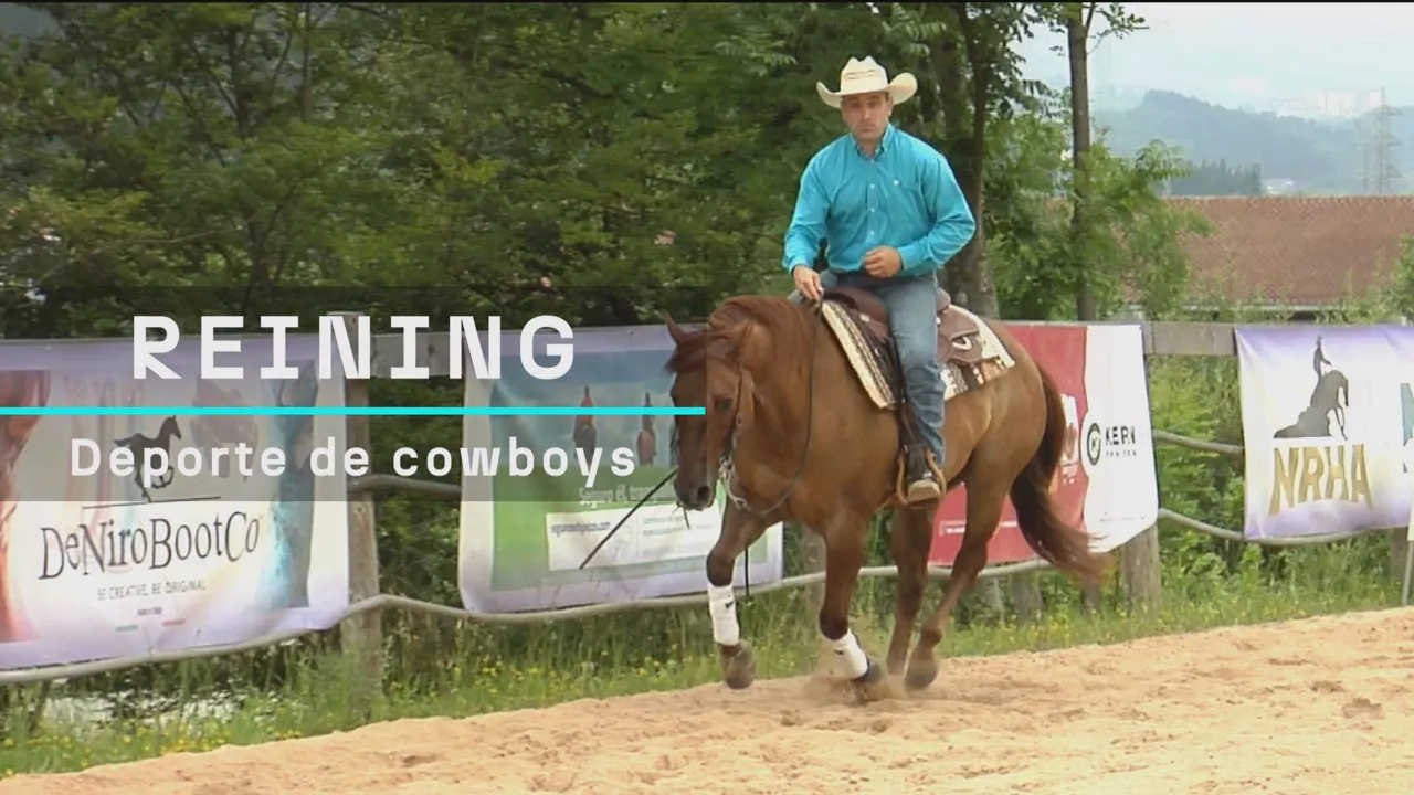 Reining castellano argazkia