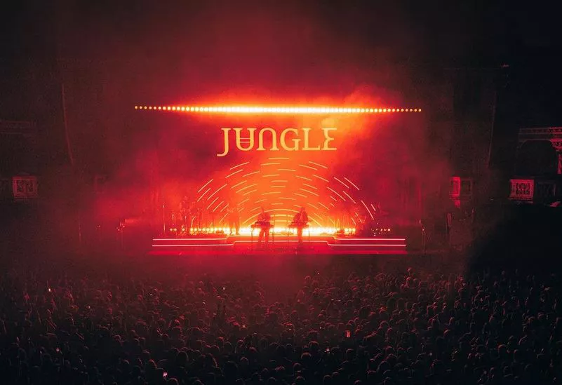 jungle