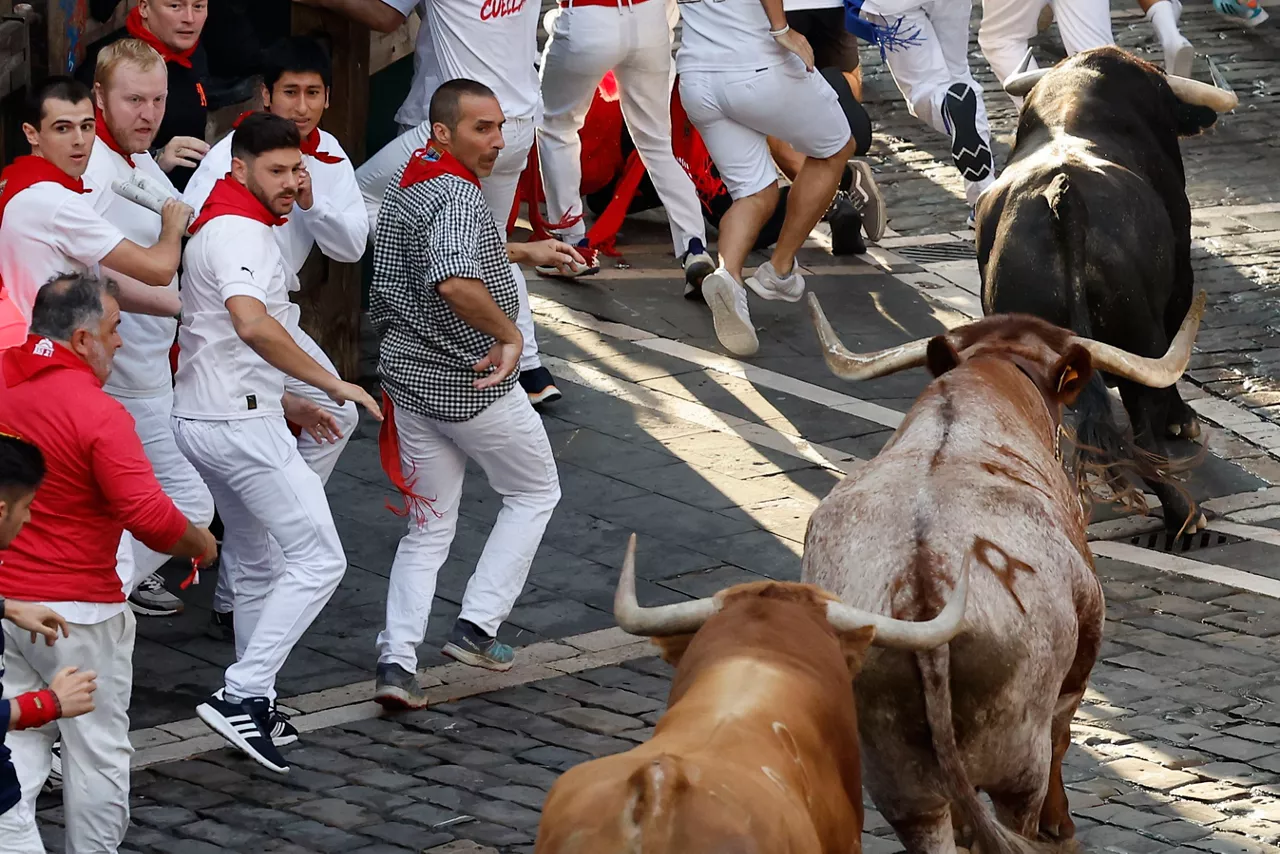 entzierroa encierro