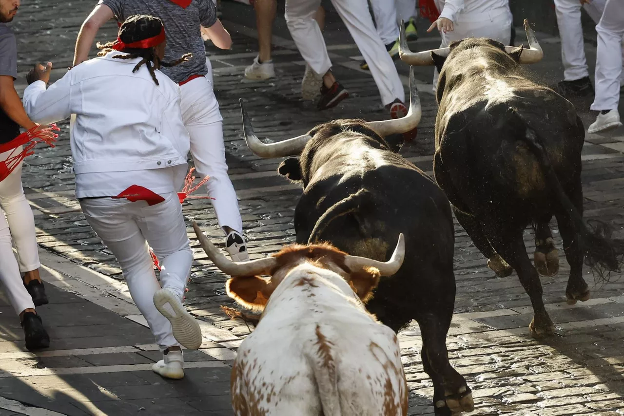 encierro entzierroa 11 julio uztaila domingo hernandez sanfermines sanferminak efe