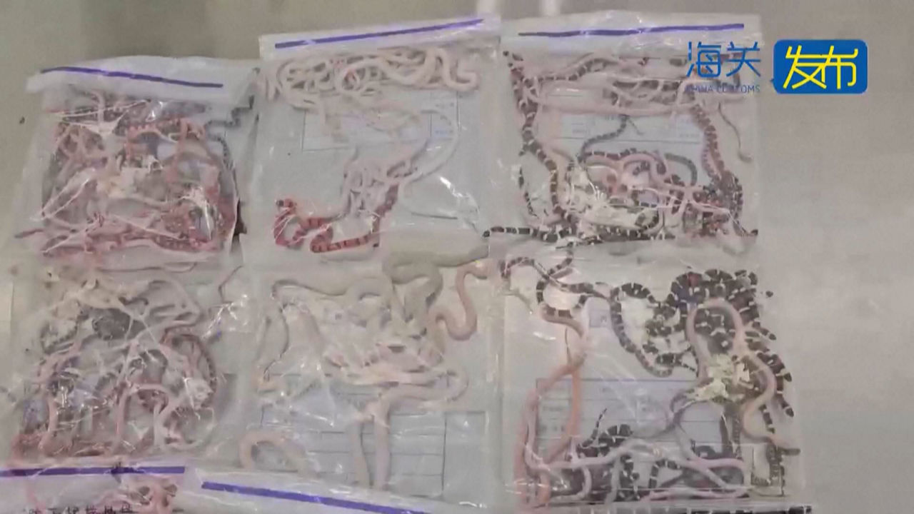 20240711110005_sugeak_