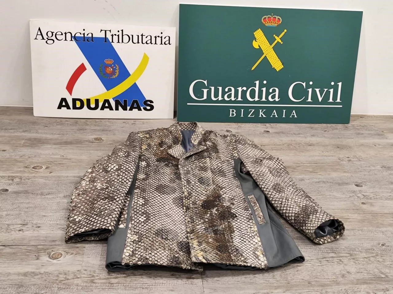 anaconda_loiu_guardia_zibila