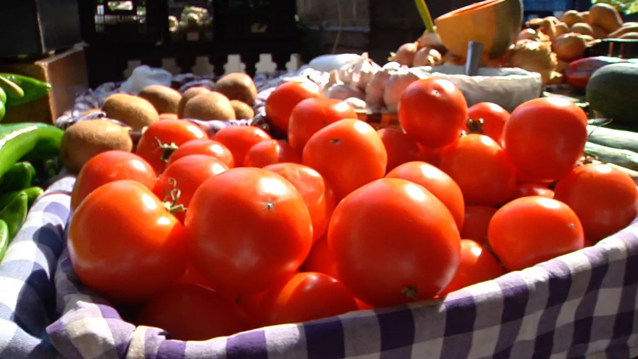 20240712175214_tomates-del-caserio-gurutzeta_