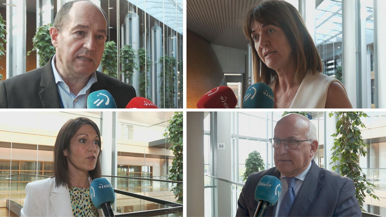 euskal eurodiputatuak