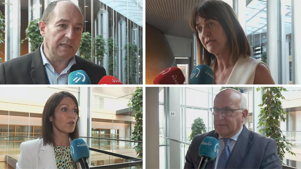 euskal eurodiputatuak