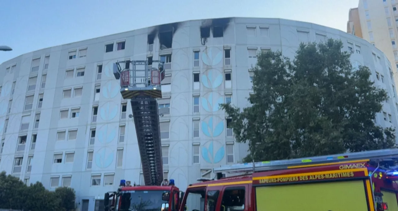 niza incendio sutea iturria: AFP