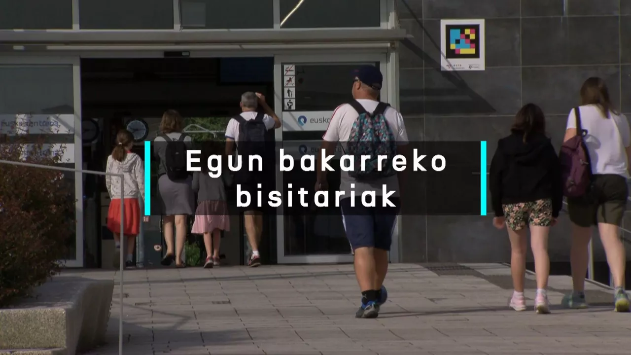 20240718152534_turismoa-egun-bakarreko-bisitariak_