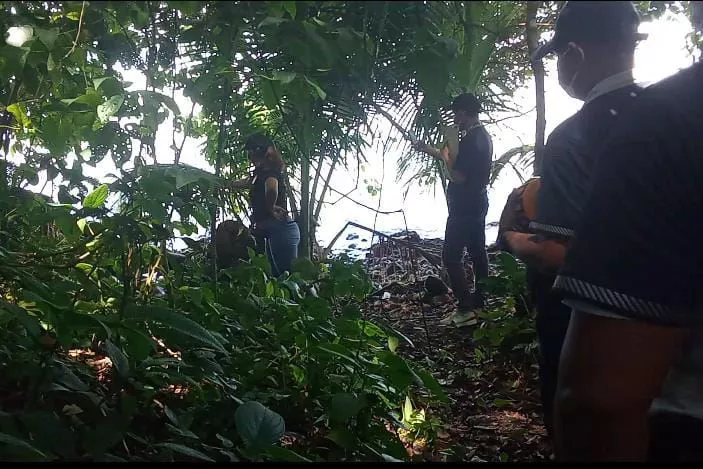panama basoa desagertua