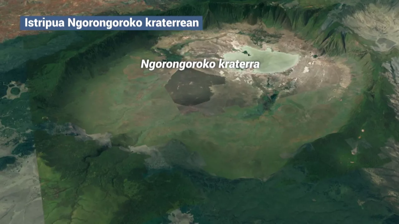 20240806150034_ngorongoroko-kraterra_