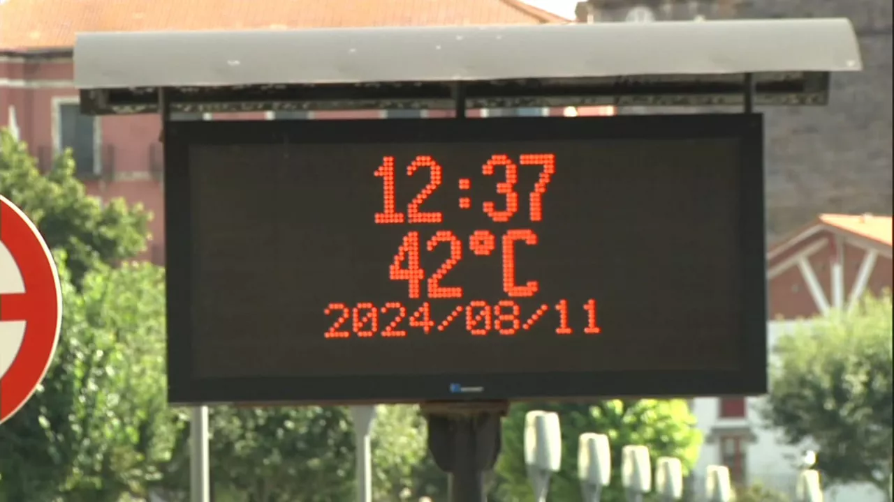 20240811143820_bermeo_