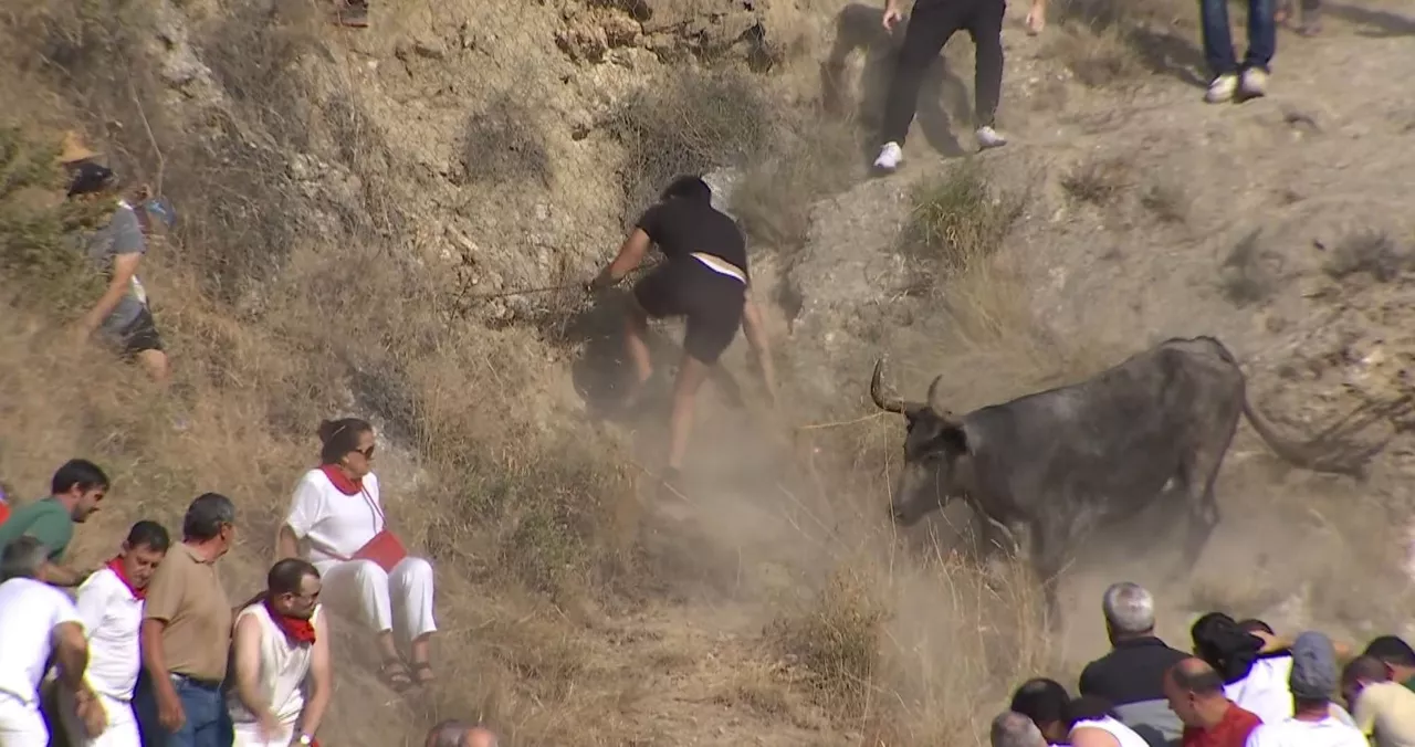 encierro entzierroa pilon falces faltzes eitb