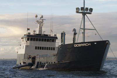 Buque Ocearch.