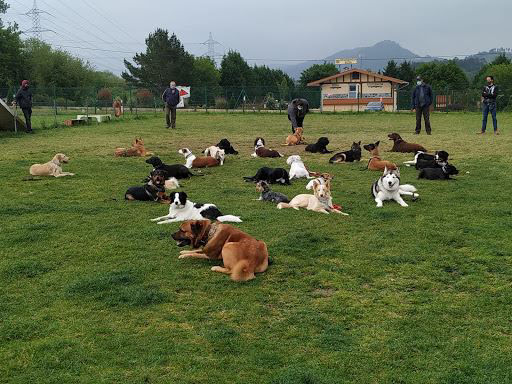 Centro Canino Txiki-Eder.