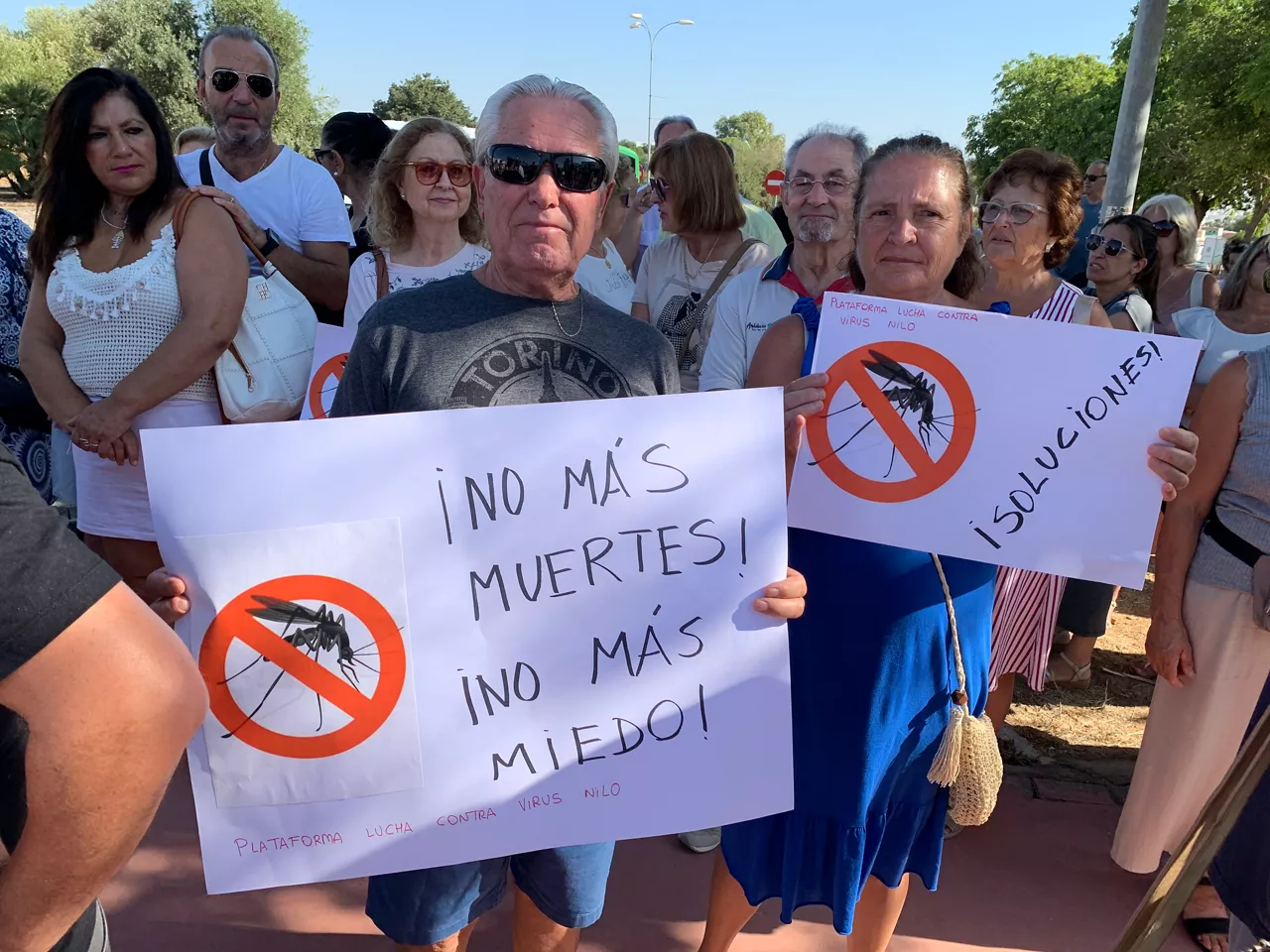 virus del nilo
