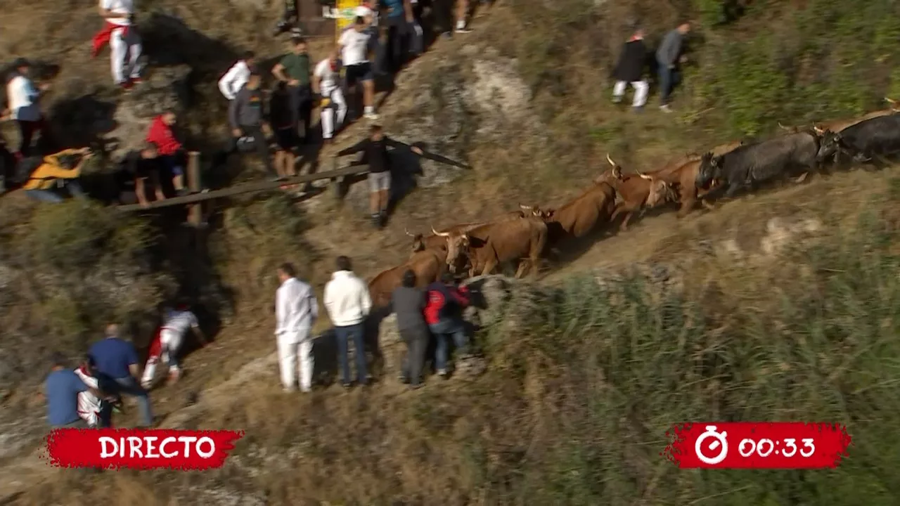 20240815091506_falces-encierro_