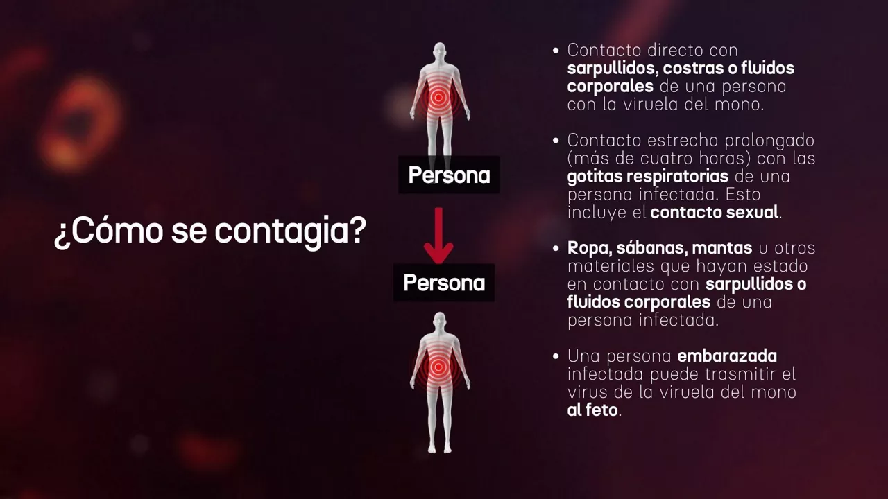 viruela mono contagio persona a persona cast